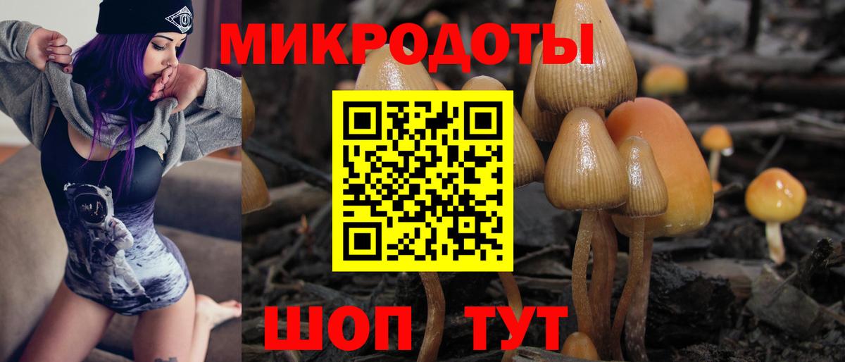 Волгодонск  Галлюциногенные грибы мицелий  Вход с VPN 